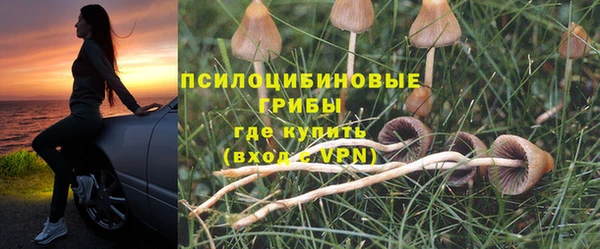 PSILOCYBIN Богородицк